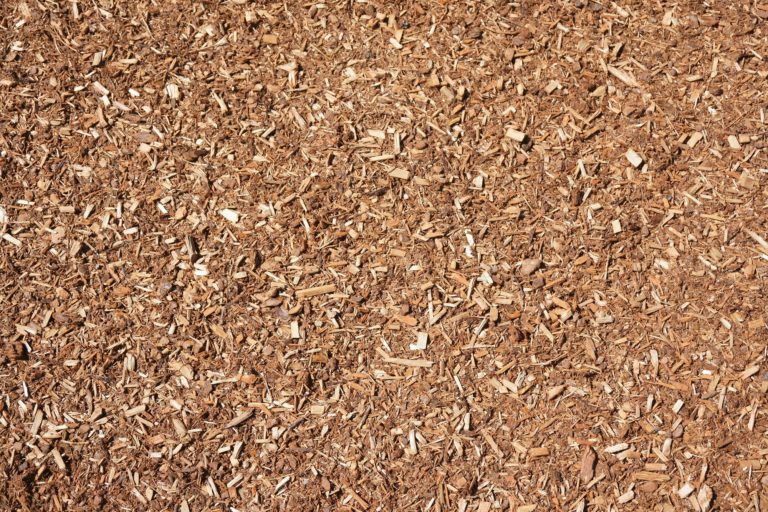 palletmulch Palleton, Inc.